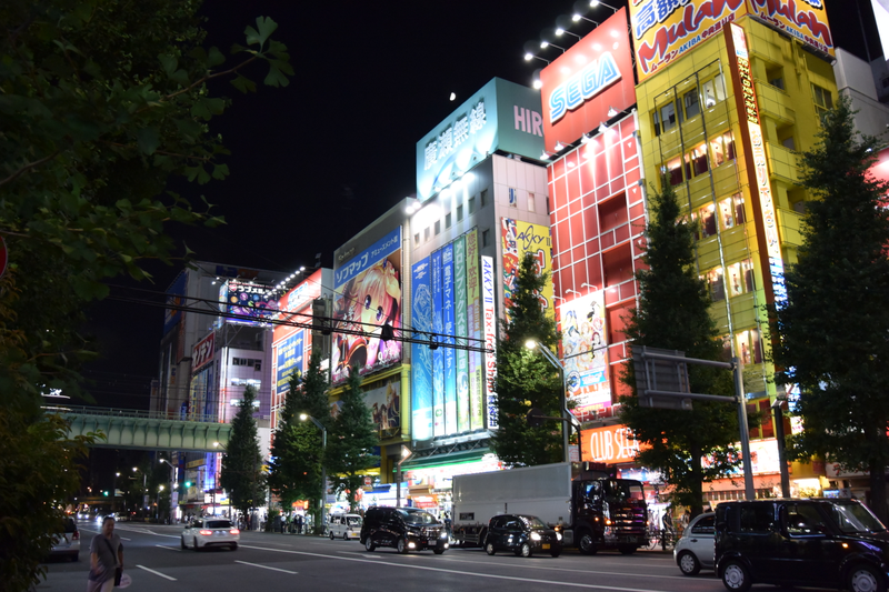 Illustration for article titled Japan: a Dogapult Trip Part 4: Akihabara by Night!